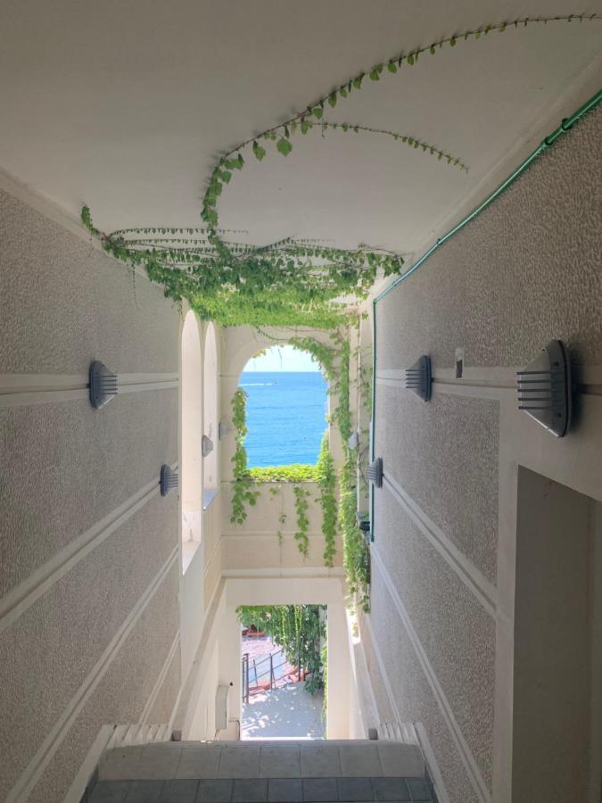 Sound Of The Sea Apartment Sveti Stefan Eksteriør billede
